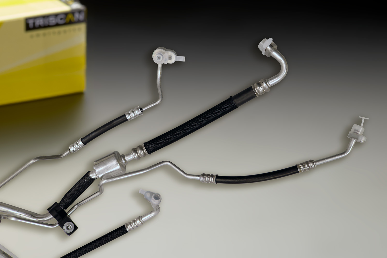 Triscan AC hoses
