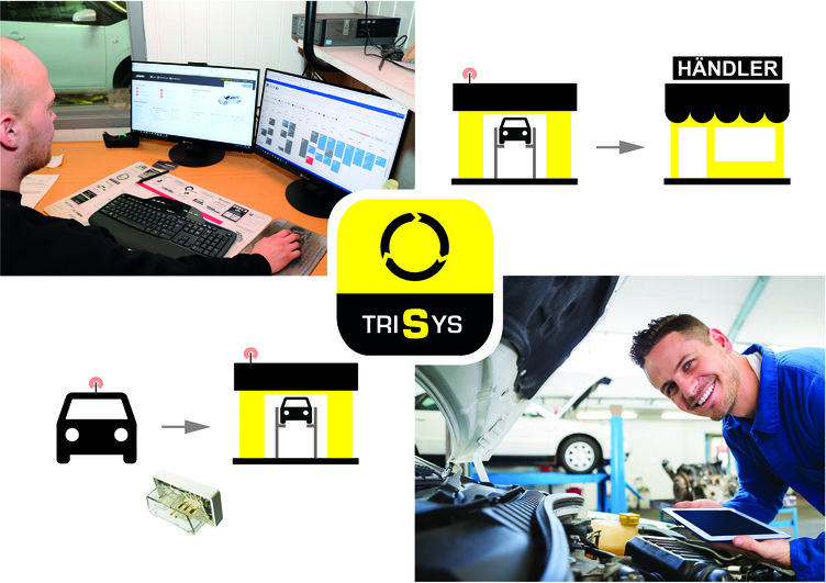 Trisys collage